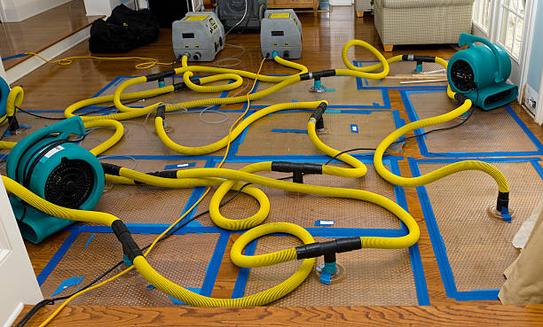 Professional Water Damage Repair technician working in Palmyra, ME